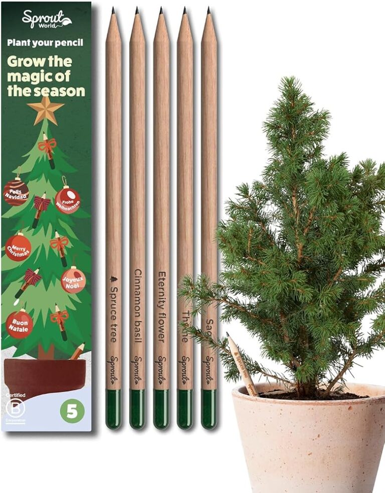 Cinque matite piantabili Sprout World Edizione Natale con confezione e piccolo abete in vaso