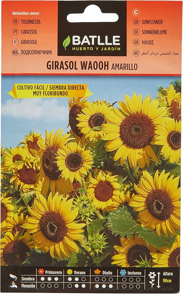 Semi di Girasole: i prodotti messi a confronto nella guida